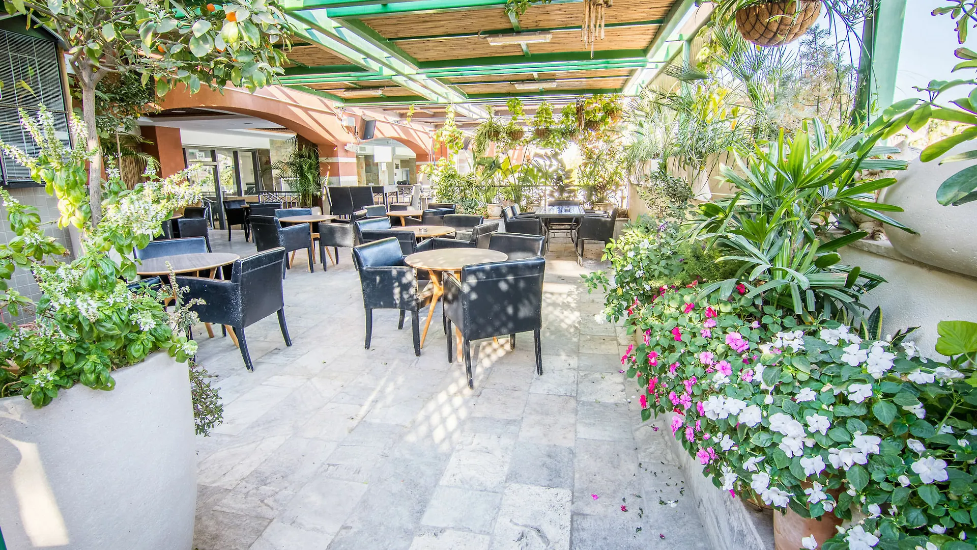 Comfort Hotel Ejlat